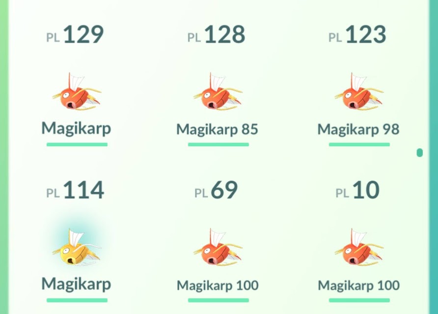 Shiny Magikarp pode ser encontrada em Pokémon GO - Pokémothim