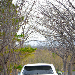 ハリアー ZSU65W