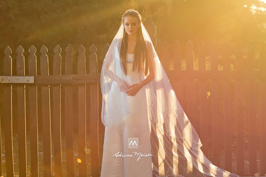 Wedding photographer Adrian Moisei (adrianmoisei). Photo of 27 September 2019