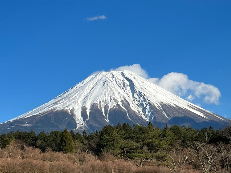 の投稿画像44枚目