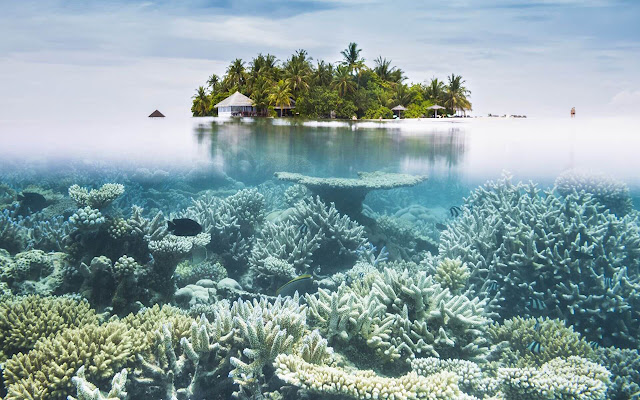 Great Barrier Reef - New Tab in HD