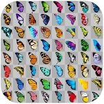 Cover Image of Download Link 2 Butterfly 1.1 APK