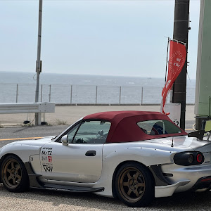 ロードスター NB6C