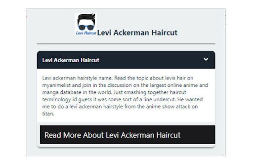 Levi Ackerman Haircut