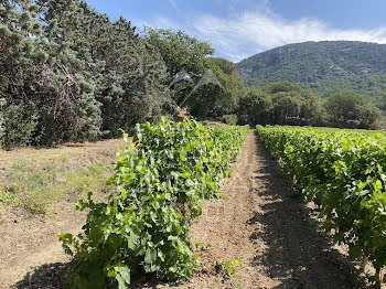 terrain à Grimaud (83)