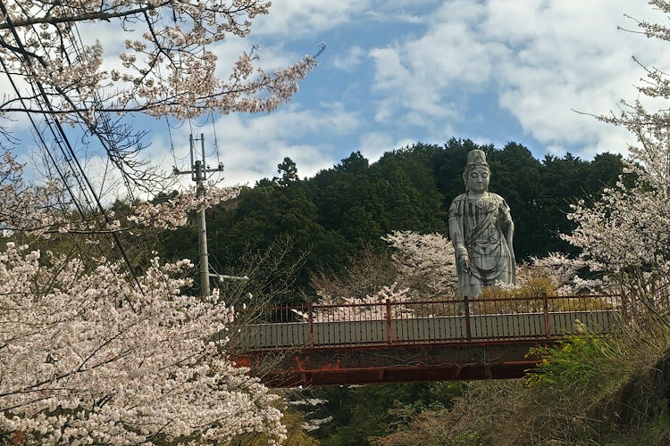 の投稿画像7枚目