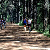 La passeggiata di 