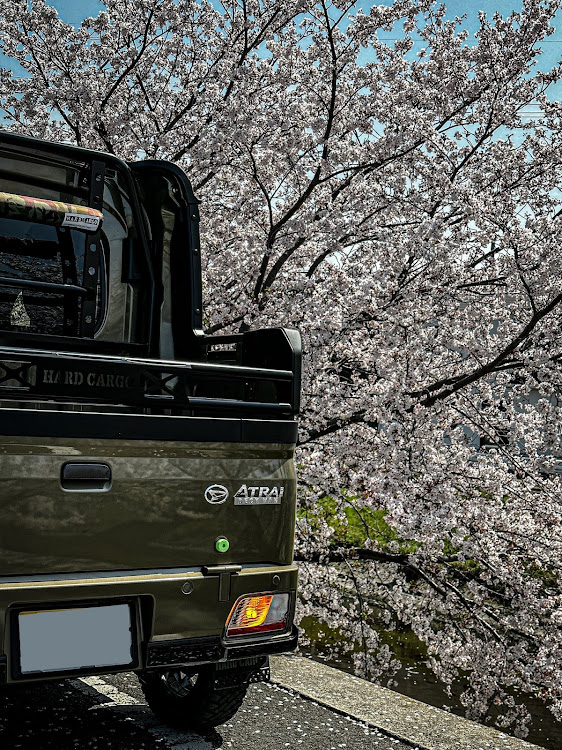 アトレーのアトレーS700V・アトレー　S710V・アトレーデッキバン・洗車・桜とコラボに関するカスタム事例の投稿画像2枚目