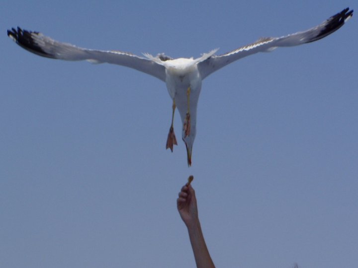 Rifornimento in volo di quateo