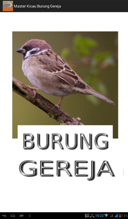 Master Kicau Burung Gereja Android Apps Appagg