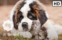 My St. Bernard Dog & Puppy Wallpapers small promo image