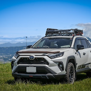 RAV4 AXAH54