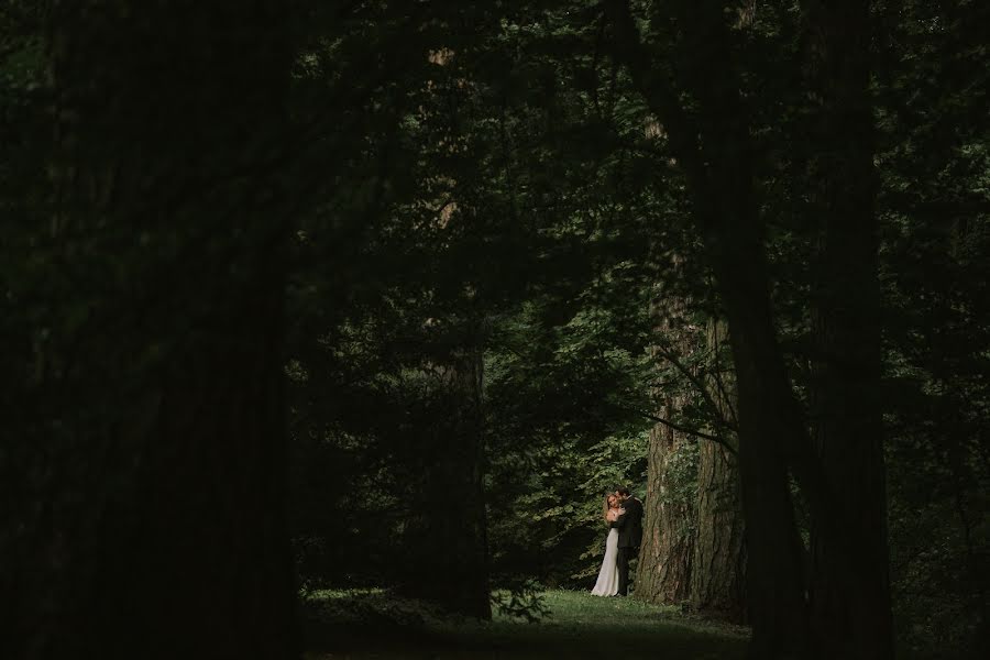 Wedding photographer Grey Mount (greymountphoto). Photo of 11 October 2019