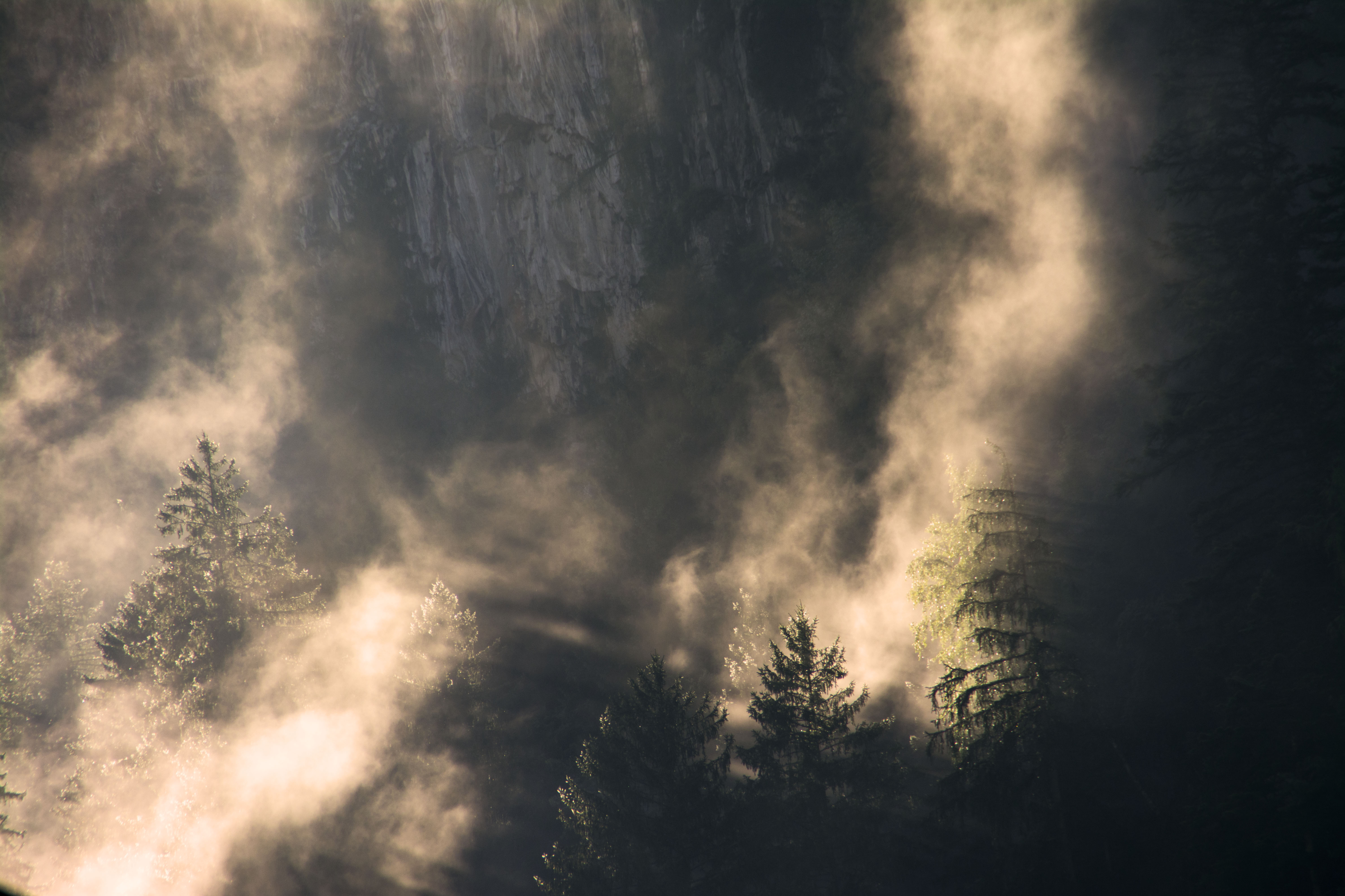 Luce del mattino di vaiolet