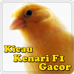 Kicau Kenari F1 Gacor Apk