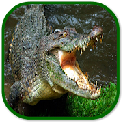 crocodile sounds 1.0 Icon