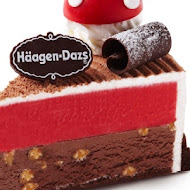 Häagen-Dazs 哈根達斯