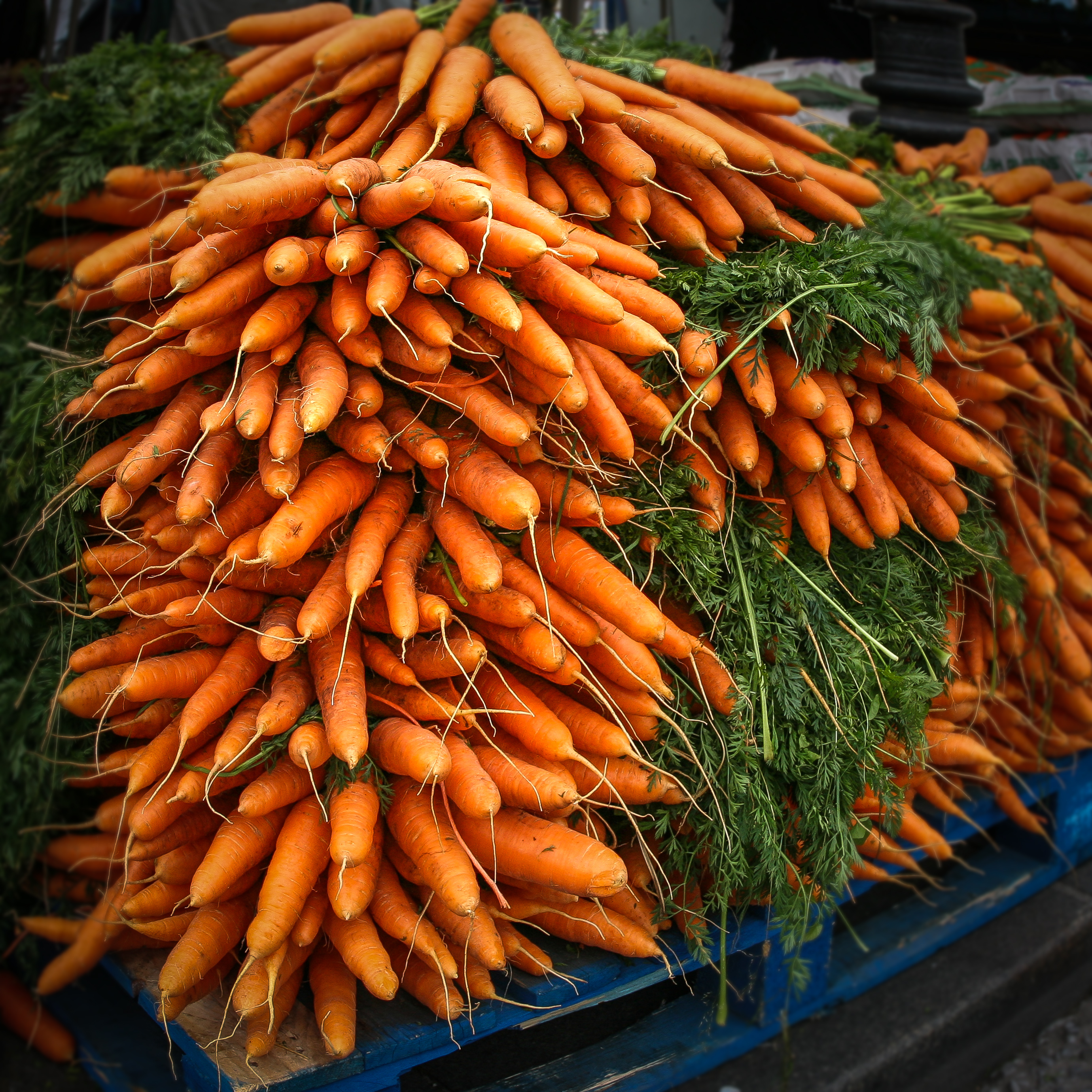 Beta carotene in pallet di Albifog