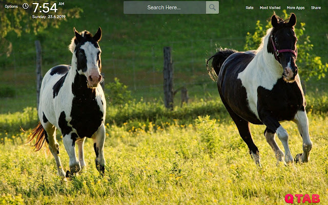 Horses Animals Wallpapers New Tab Theme