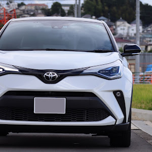 C-HR NGX10