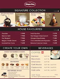 Haagen-Dazs menu 1