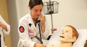 Image result for physician assistant