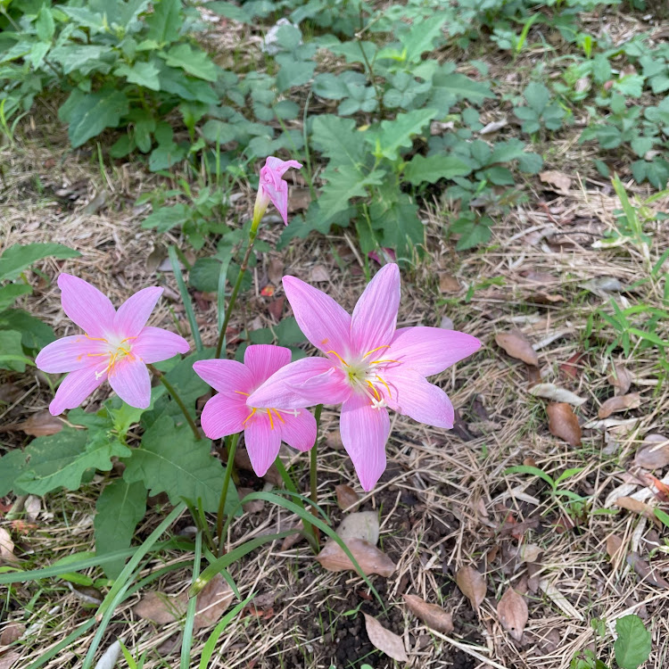 の投稿画像10枚目