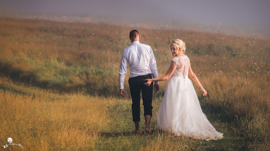 Fotógrafo de bodas Lucian Milas (lucimilas). Foto del 28 de mayo 2019