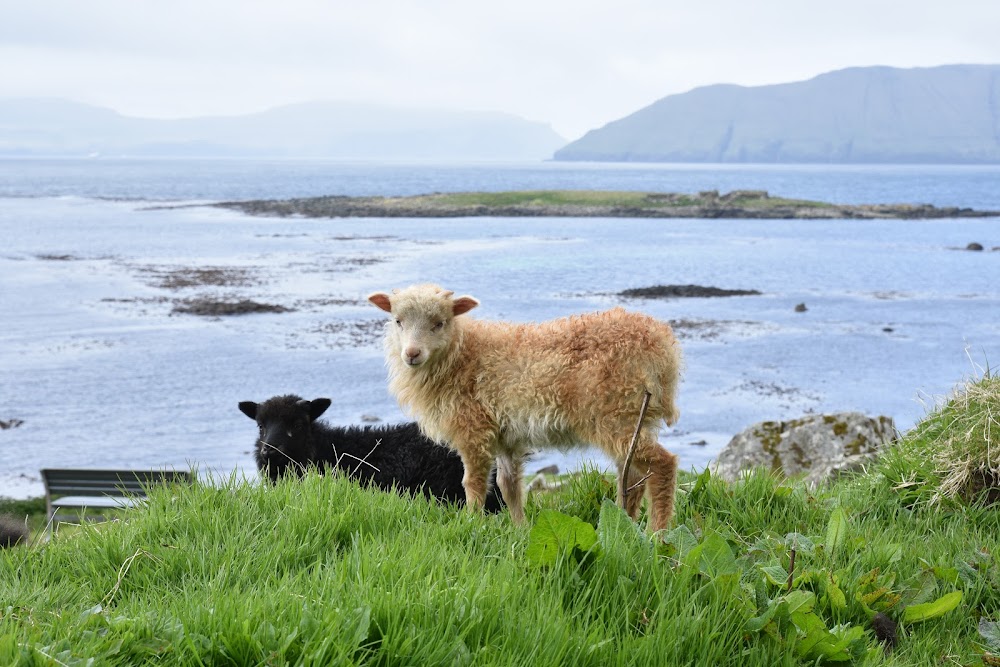 Ein Max im Hohen Norden - Island 2018 Md8_BlFJHyBAbTxJIBKdVAGnfQlZLLb_yK5t7KKaVxff3RqNGNHVTC5GzQJhyKjxrntOGgkSPBF1B2q-CkYaCjcXXBXhiTmVadBf7kdfpK-6cmO7duGsmKUTCoJwDbt4NLwJza4sgK_k-5iyTJJMdHHHPgTMZCu3KM2pR5NCiL5O5UlXD_NwrKaPztLGBH3Exnxmk1Fb8JwxG5qf7dbPKrUZweugJdDWT6MwtcoLd5l0kfNmK-SWGHjn4a3In-aoKDn-93yVRcWPSp7xUCnQLzPvcfKOzheocqIeYYfuIIV8ZSOTGHWeZrDTZRcHMgxPKhCcSjtLrbuFDsGYrJ2a2ND0bixxbkx-jqABsVDMhDIkepjG8LRr2ZgEZQKkxVc-XoMVTuhvygdRkdE-P_zj9tyrkM8301RrZJOP2YnzRRxh0pDp-SinGyUC3Cosq_J9TNFYh1rlePqbcSaOQqWkacOvqF8cE8YKUBTkqHmixwm_2RdJ9Y_Te4zlJRTf2q2N__T4ur1Qfl8dVrffSJul9Ppj6zjMgBlVspA6b47_f1yGgxcblCV0tgrkdxQm2ch01210SFb3DV-6NSqL8nA-3UK4so5F50XjuJCo2FAe9ZxyG4ESU98ztegycKM43ilgmbfwQzQMDNThhdS0D7_2l5T5_jHk7ZzbKg=w1000-no-tmp