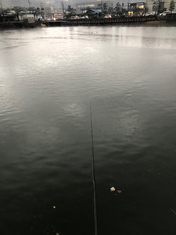 レガシィツーリングワゴンのドライブに関するカスタム事例の投稿画像6枚目