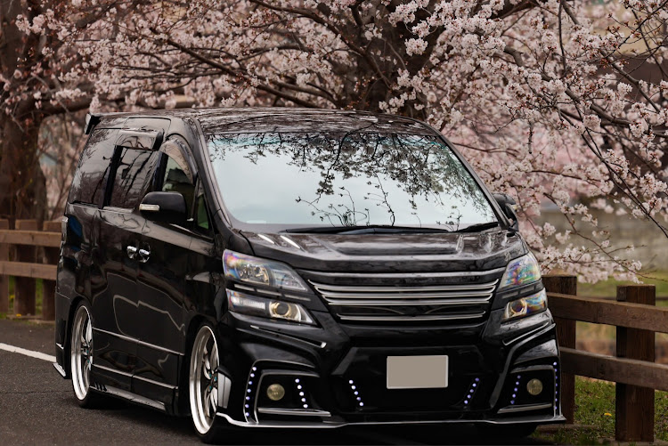 ヴェルファイアのサクラと愛車・桜とコラボ・ドライブに関するカスタム事例の投稿画像1枚目