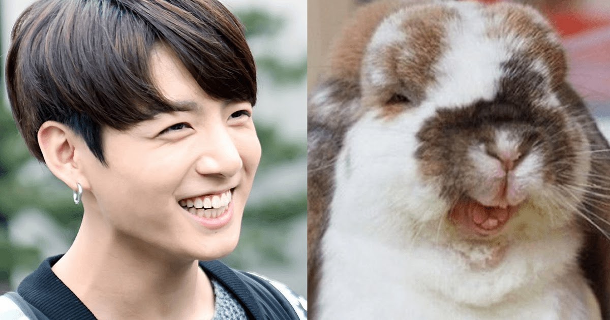 BTS Jungkook Always Smiles Like A Bunny - Koreaboo