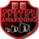 Download Operation Spring Awakening 1945 (free) For PC Windows and Mac 1.0.0.2