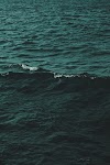 Ocean by Anonymous