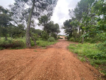 terrain à Le Cannet-des-Maures (83)