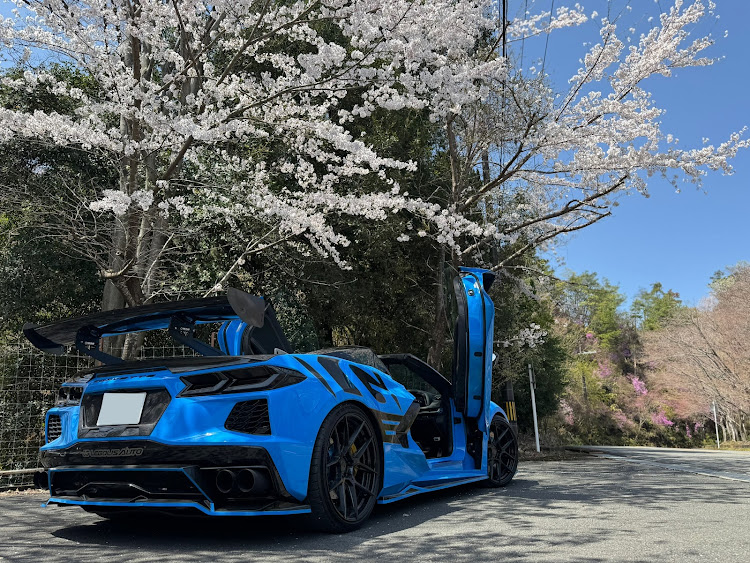 コルベット コンバーチブルの桜と愛車・ドライブ・コルベットC8に関するカスタム事例の投稿画像2枚目