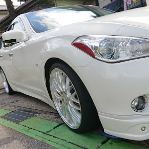 フーガ Y51型