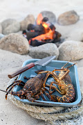 Crayfish ready to be prepared for the braai.