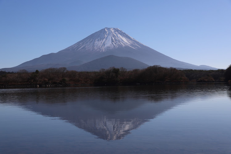 の投稿画像6枚目