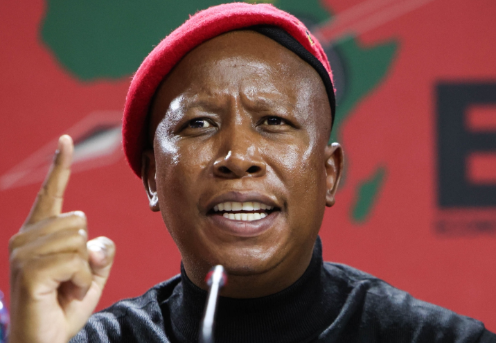 EFF leader Julius Malema. Picture: ALAISTER RUSSELL