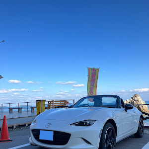 ロードスター ND5RC