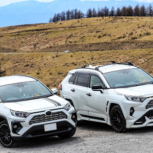 RAV4 MXAA54