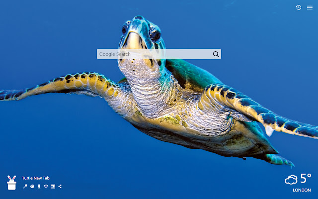 Turtle New Tab, Wallpapers HD