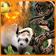 Download Snake Vs Ferret For PC Windows and Mac