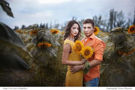 Fotógrafo de casamento Olga Zvereva (ooebest). Foto de 12 de dezembro 2015