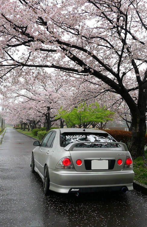 アルテッツァの相棒・桜に関するカスタム事例の投稿画像2枚目