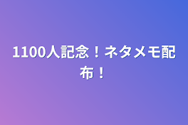 1100人記念！ネタメモ配布！