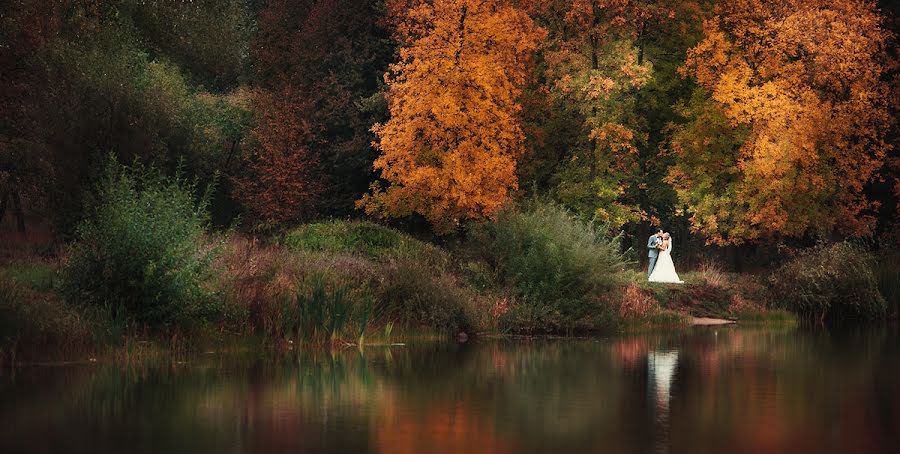 Fotógrafo de casamento Viktoriya Petrenko (vi4i). Foto de 23 de dezembro 2013