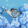 Butterfly Live Wallpaper icon