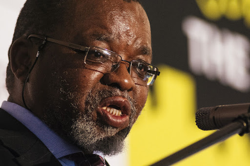 Energy minister Gwede Mantashe faces a court showdown over his decision to axe anti-nuclear activist Peter Becker from the National Nuclear Regulator board.